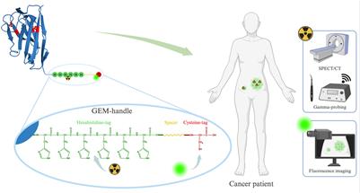 The GEM-handle as convenient labeling strategy for bimodal single-domain antibody-based tracers carrying 99mTc and a near-infrared fluorescent dye for intra-operative decision-making